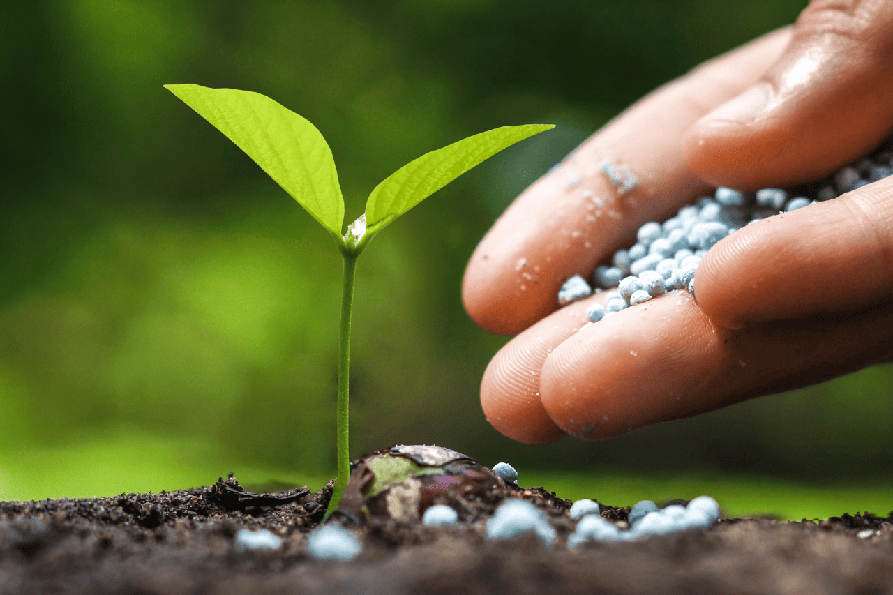 Accelerating Crop Improvement With CRISPR Technology